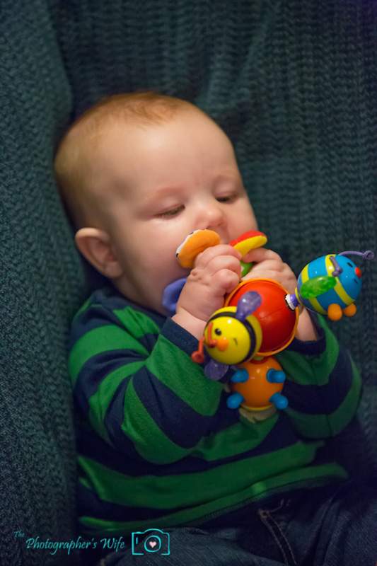 Nuby Twisty Bugz-1