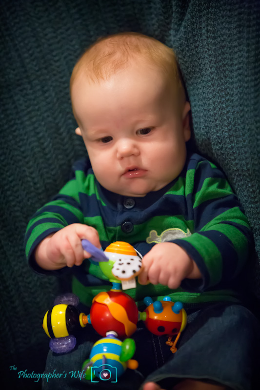 Nuby Twisty Bugz-2