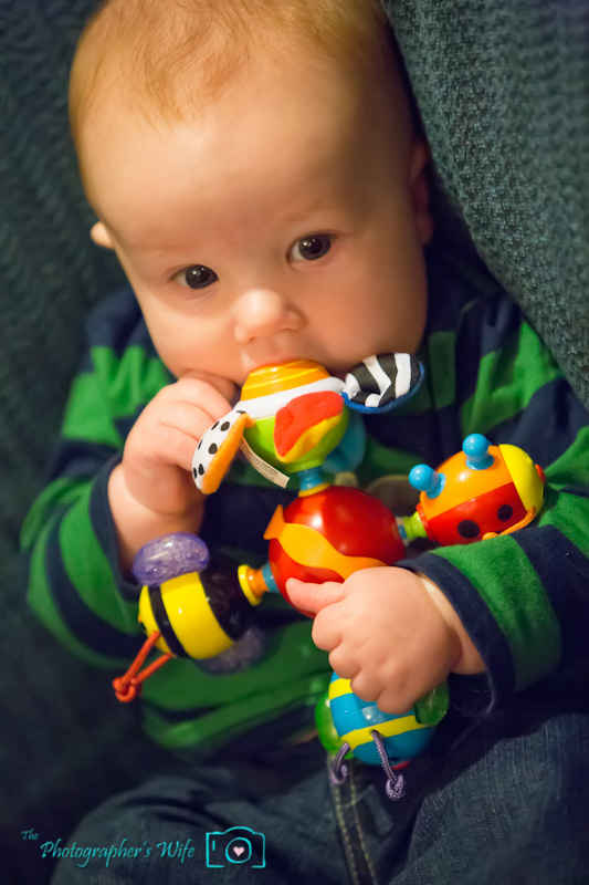 Nuby Twisty Bugz-3
