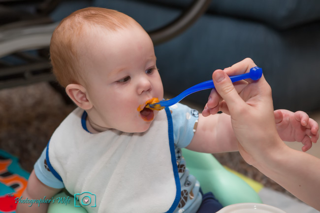 Baby Food-20
