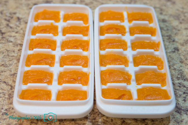 Homemade Baby Food-7