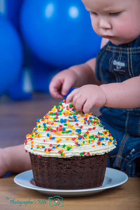 Trent 12 Months-6