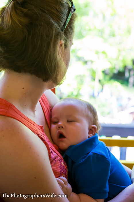 First Disney Trip-497