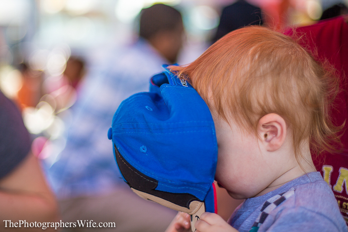 Fair 2013-2