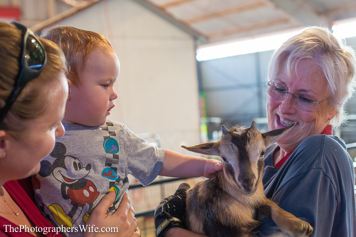 Fair 2013-20