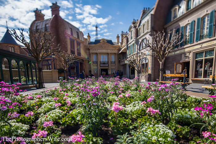January Disney Trip-13