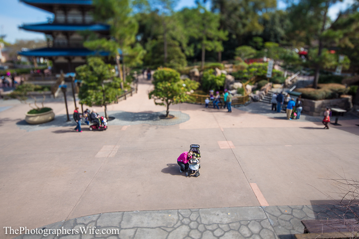 January Disney Trip-20