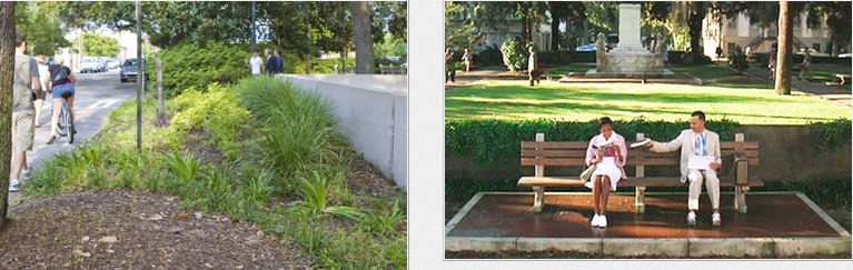 Forrest Gump bench savannah