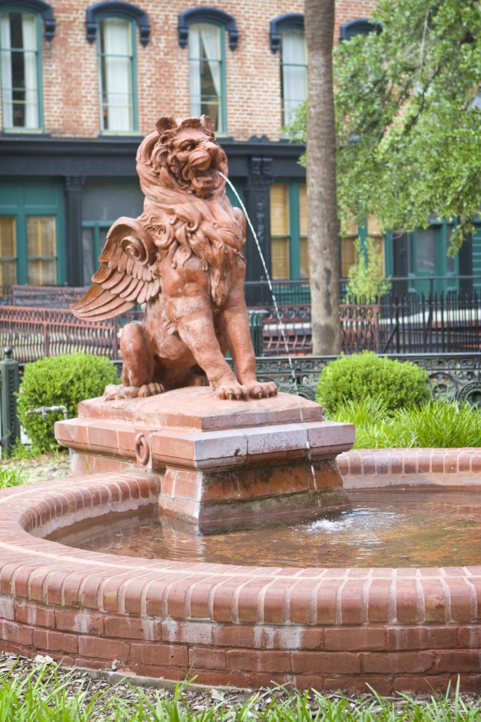 savannah 1