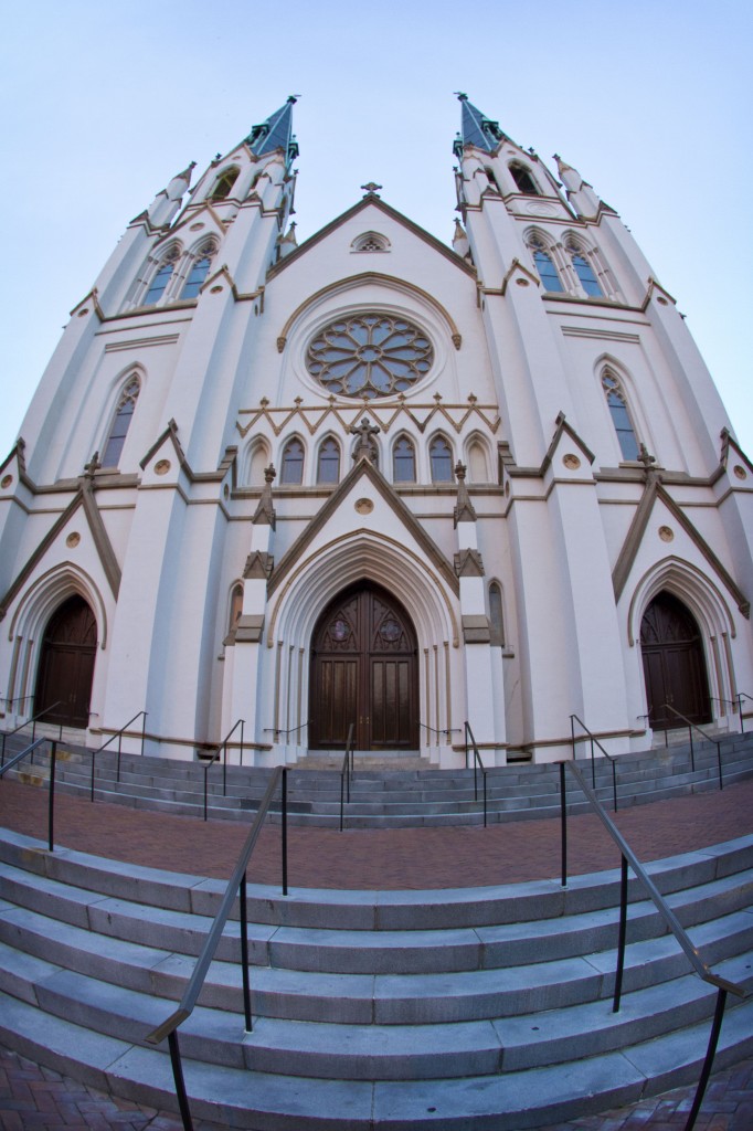 savannah 11