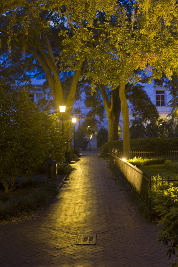 savannah 12
