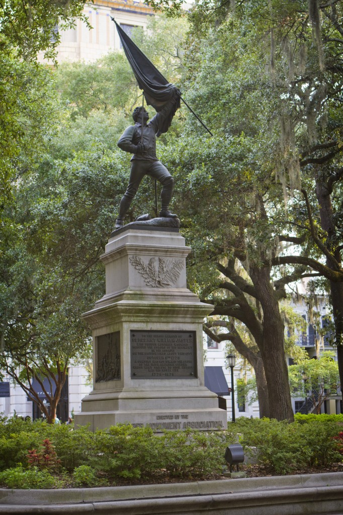 savannah 8