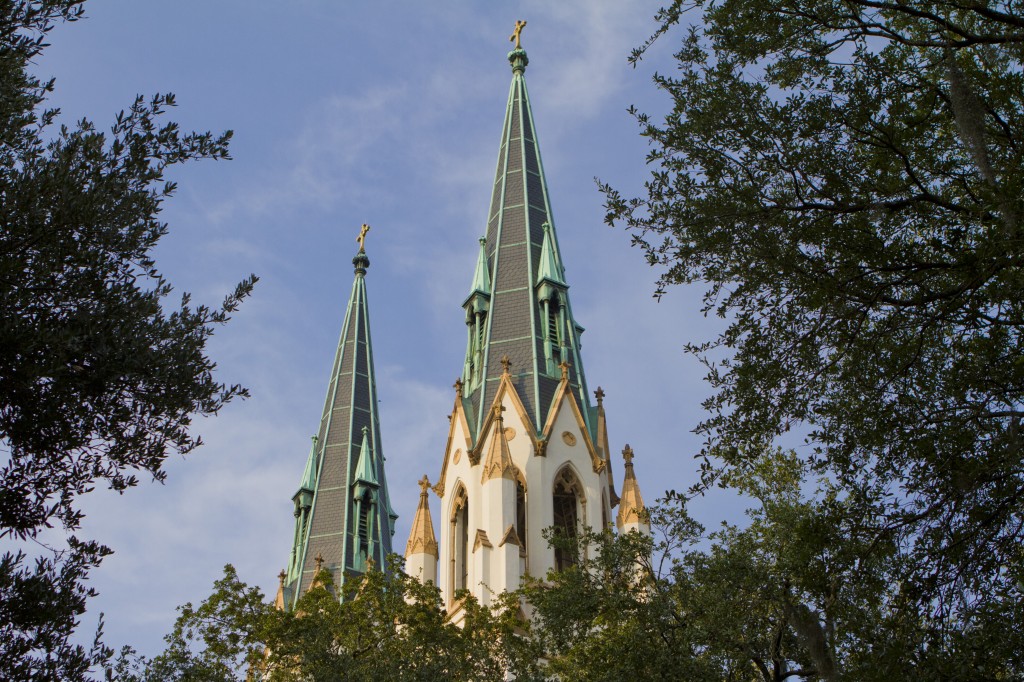 savannah 9