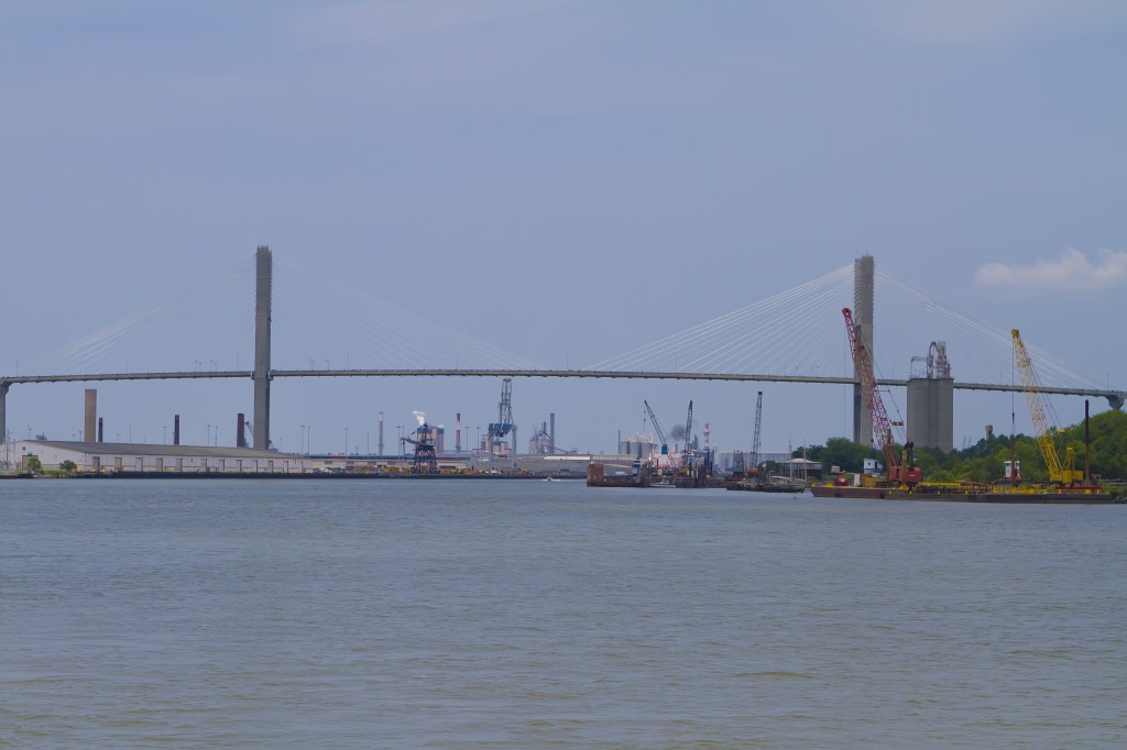 savannah 13