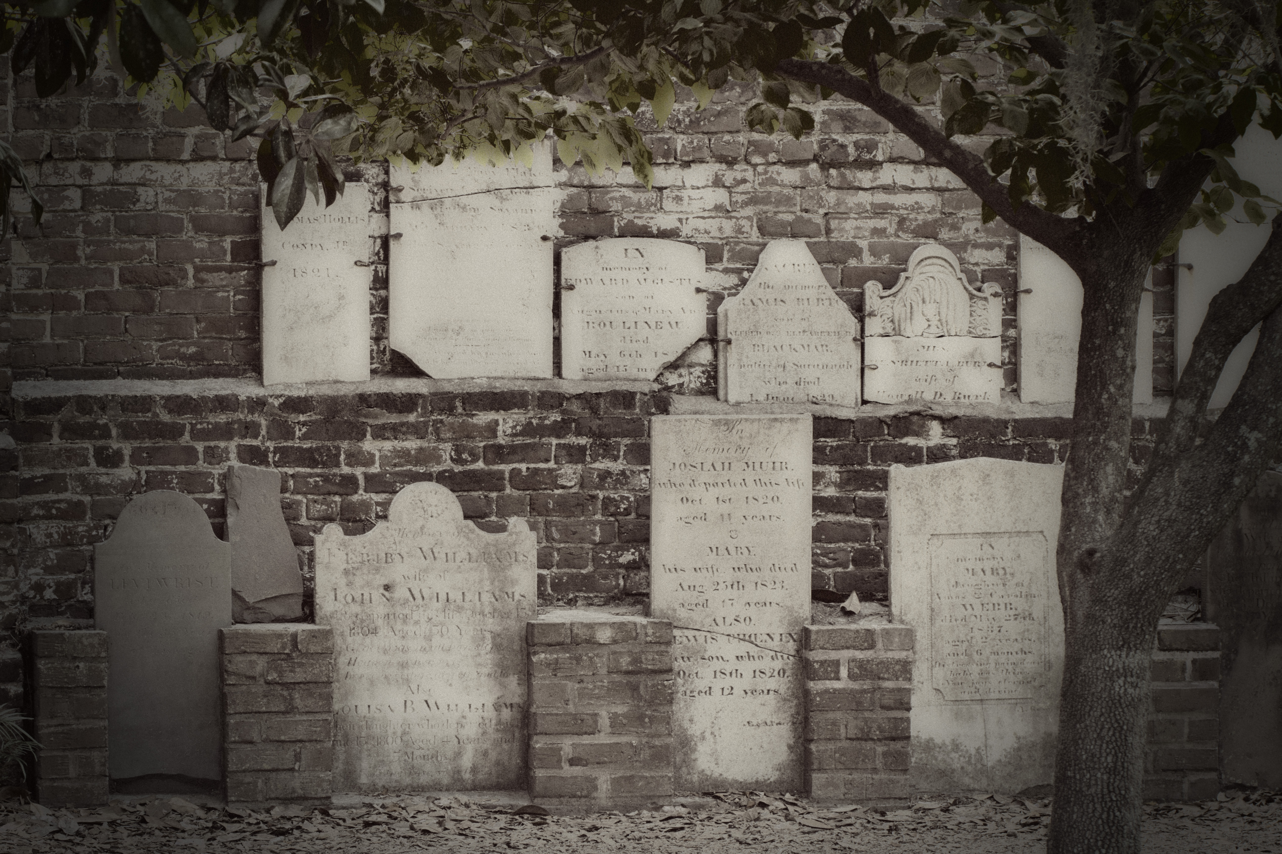 savannah graveyard 2
