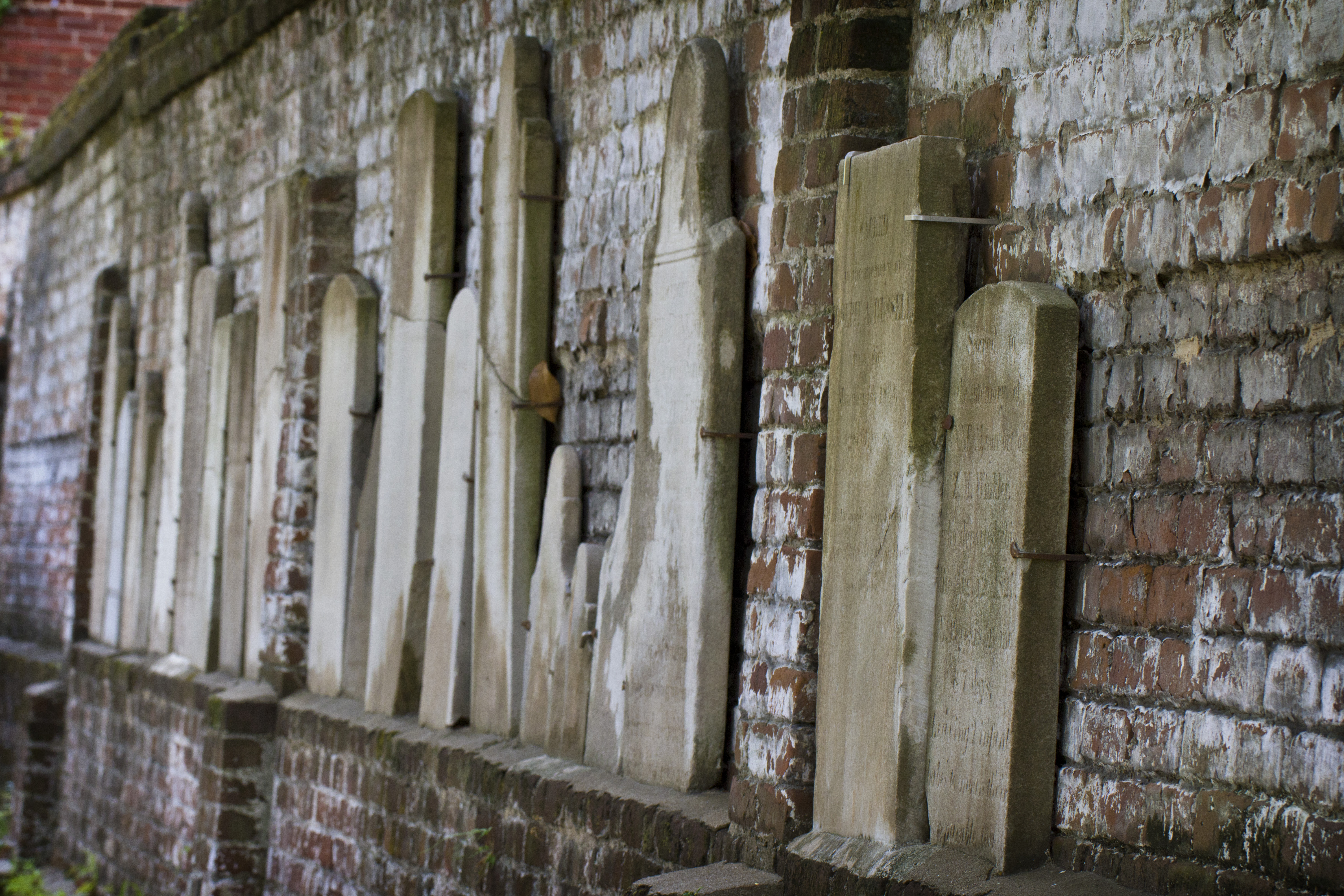 savannah graveyard 3