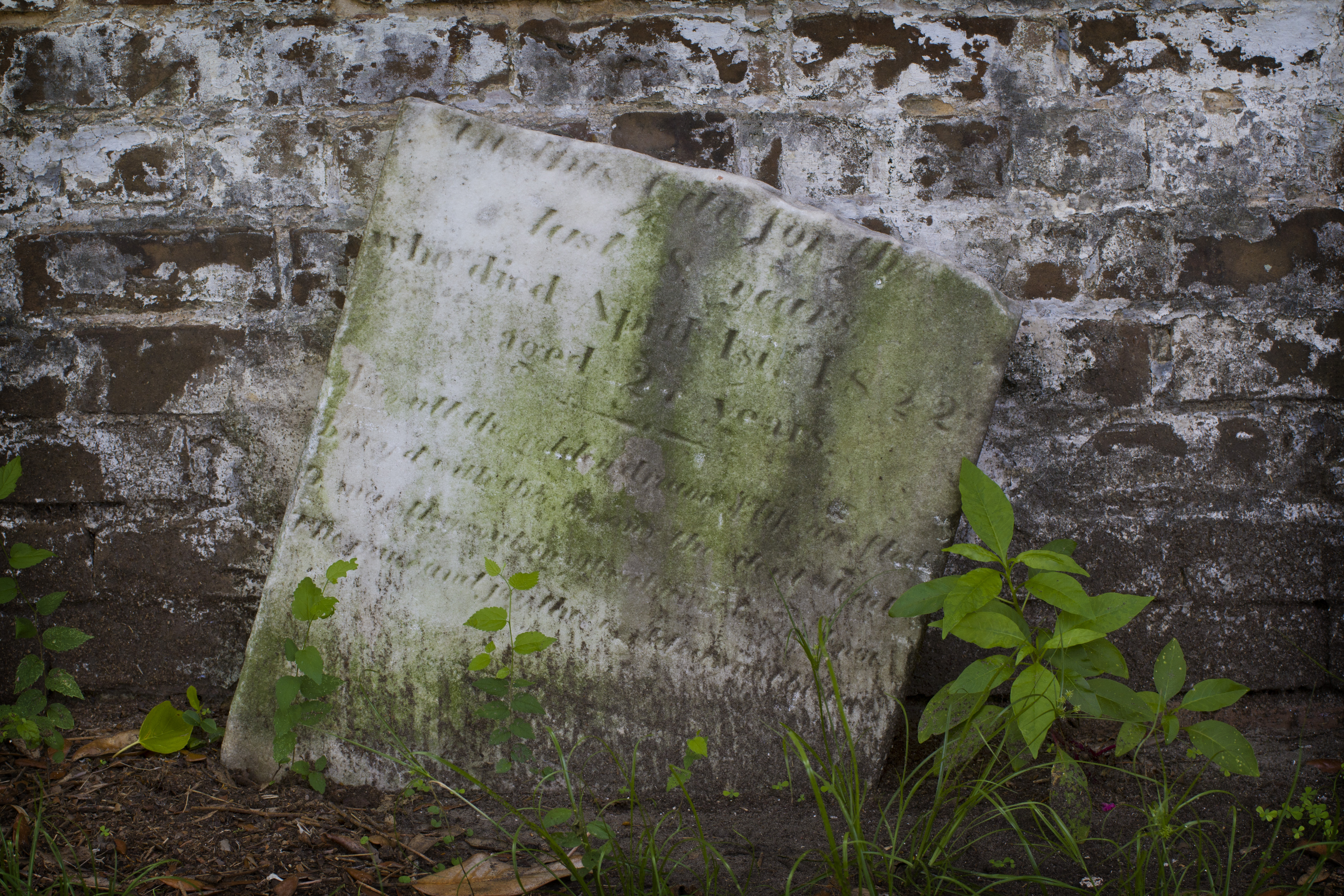 savannah graveyard
