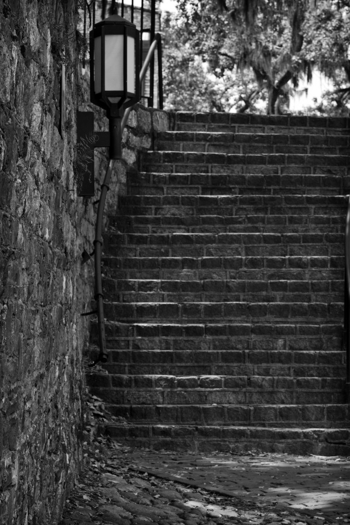 savannah stairs bw
