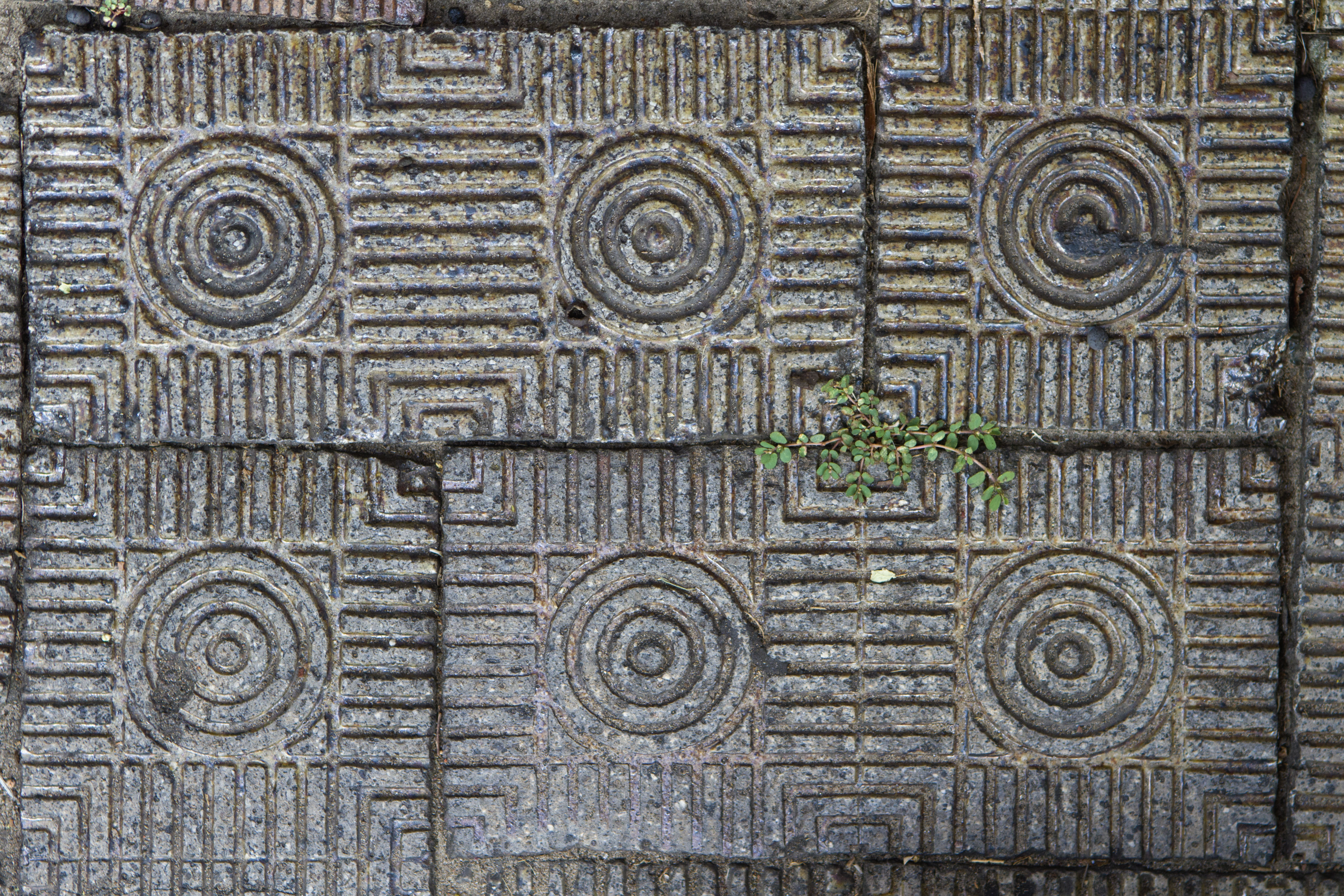 savannah tiles