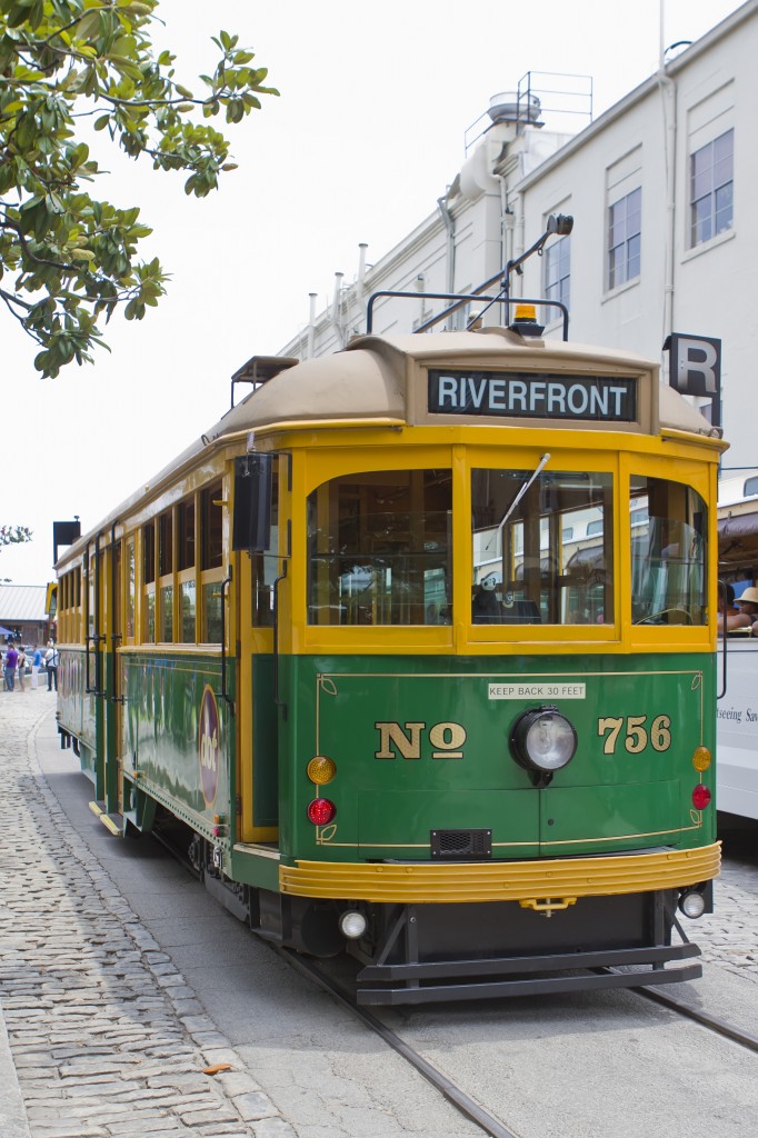 savannah trolley