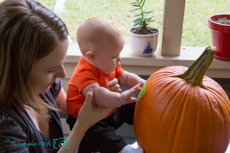 Fall photo-15
