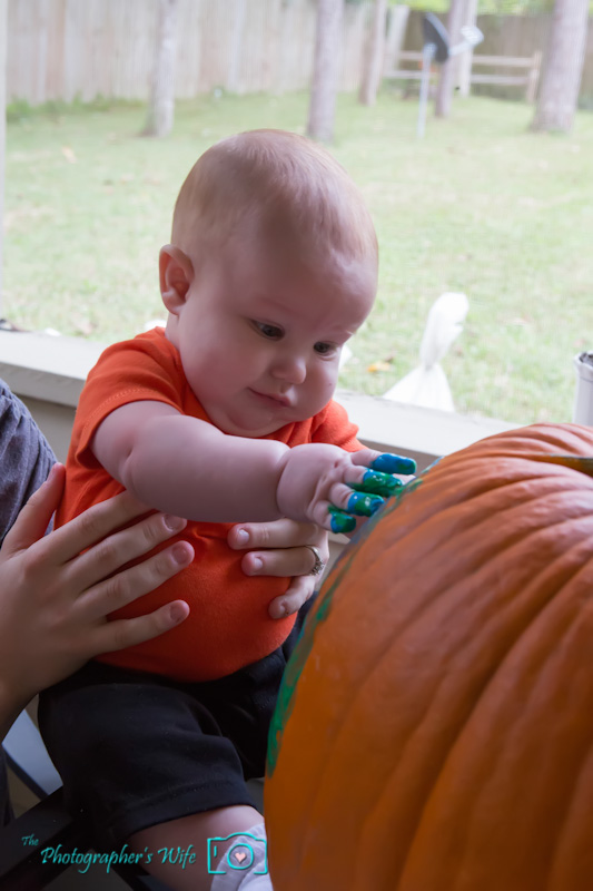 Fall photo-19