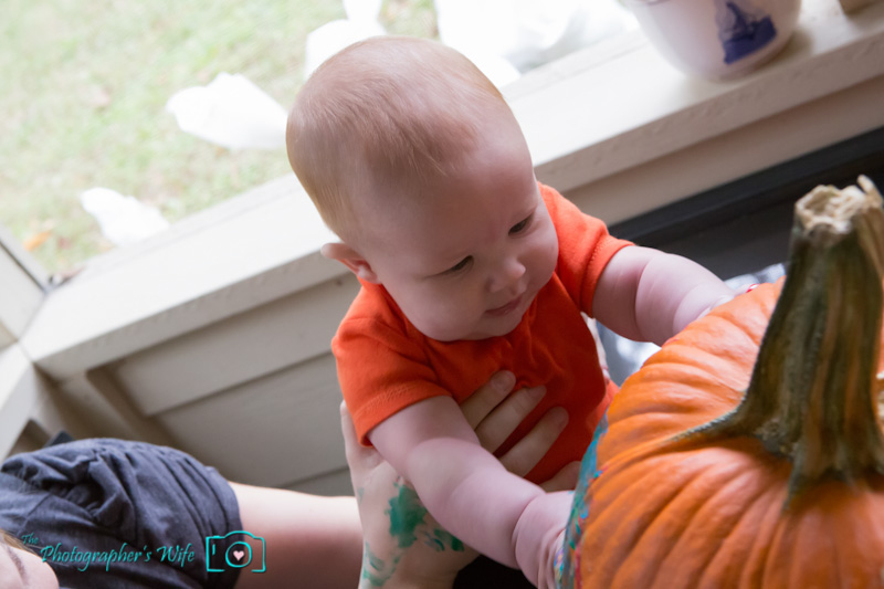 Fall photo-22