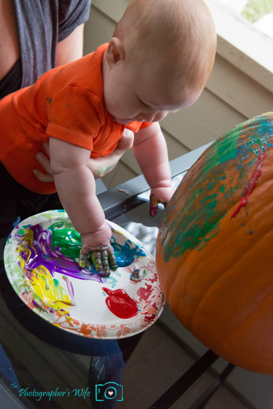 Fall photo-26
