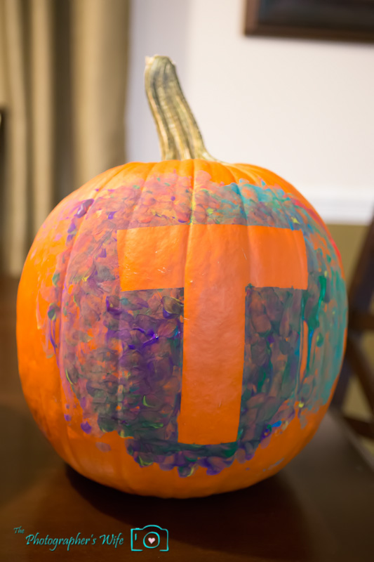 Fall photo-28