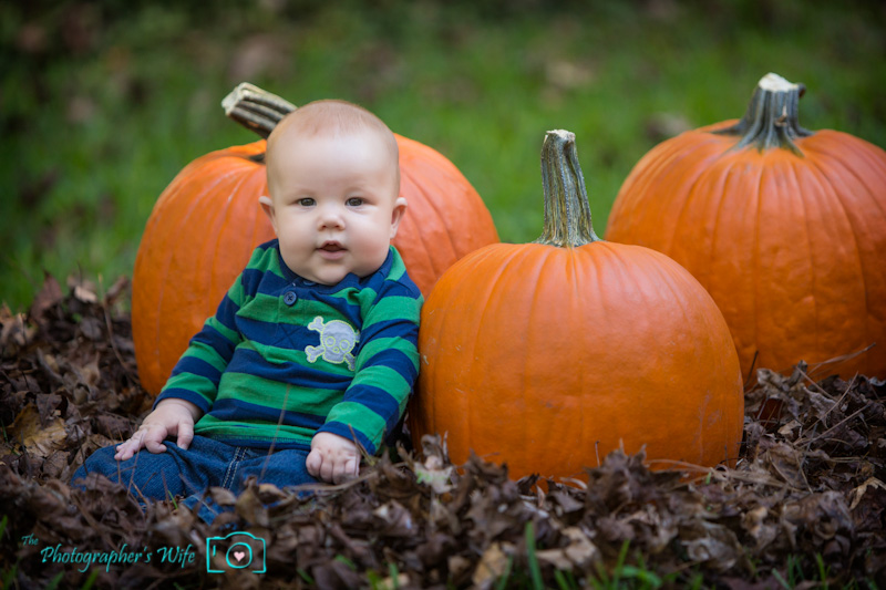 Fall photo-32