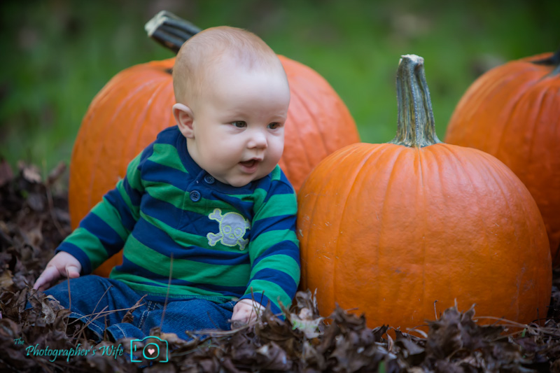 Fall photo-33