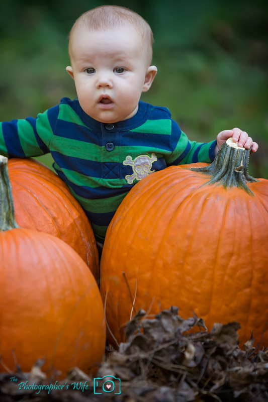 Fall photo-35