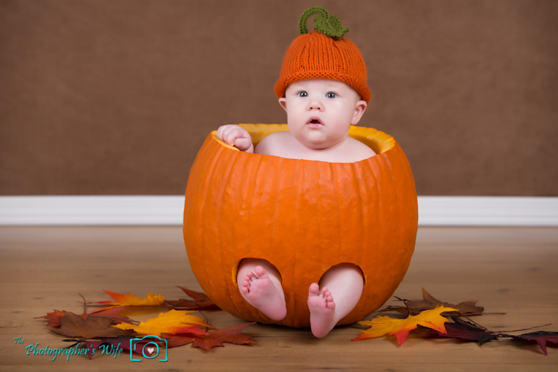 Fall photo-4