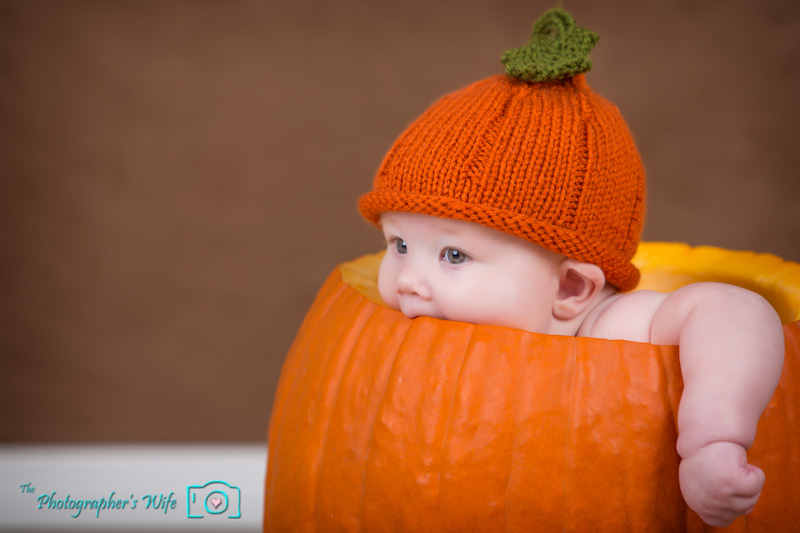 Fall photo-8