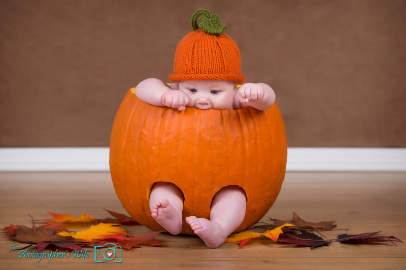 Fall photo-9