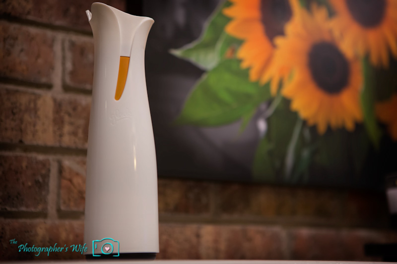 Glade-4