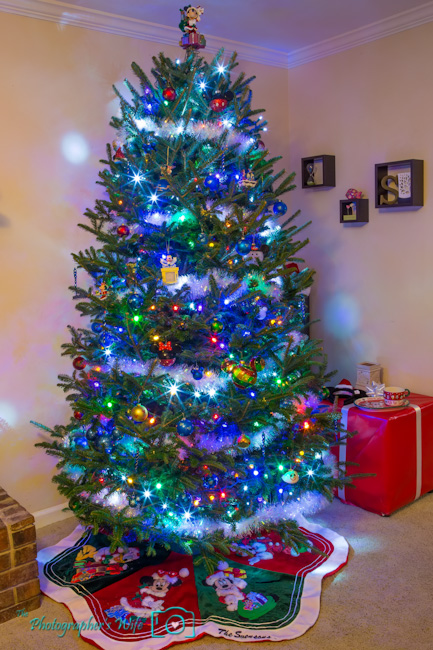 Disney Christmas Tree 2012-24