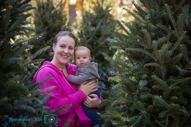 First Christmas Tree-1
