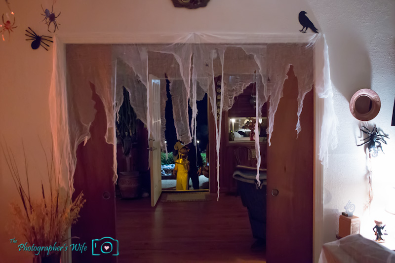 Halloween-15