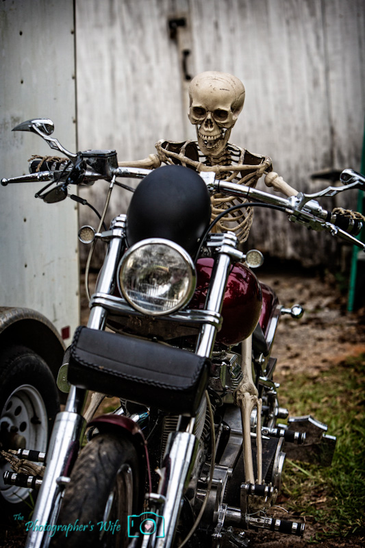 Halloween-8