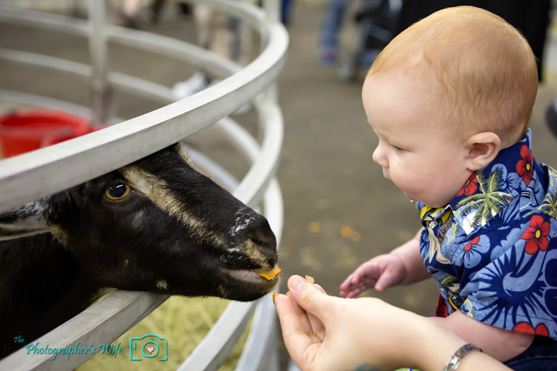 North Florida Fair-15
