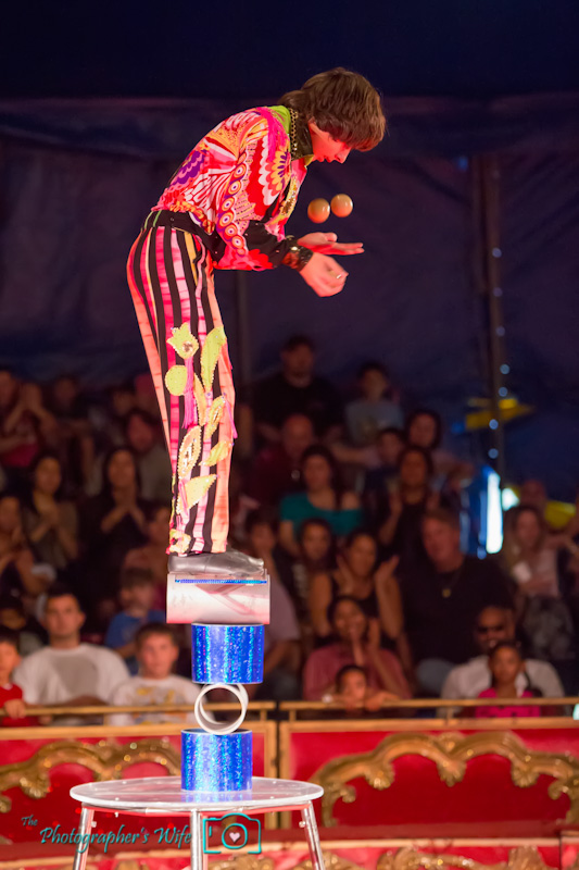 North Florida Fair-3