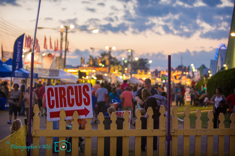 North Florida Fair-6