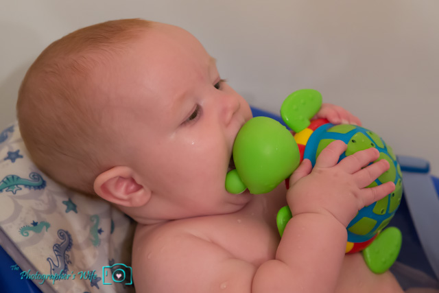 Nuby Tub Time Turtle-2