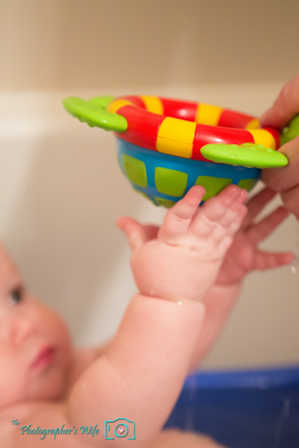 Nuby Tub Time Turtle-4