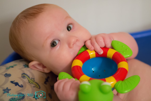 Nuby Tub Time Turtle-5