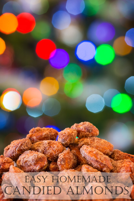 Candied Almonds-17