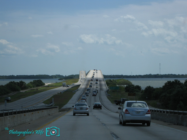 Royal Caribbean Freedom of the Seas Cruise-132