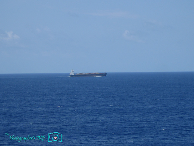 Royal Caribbean Freedom of the Seas Cruise-221
