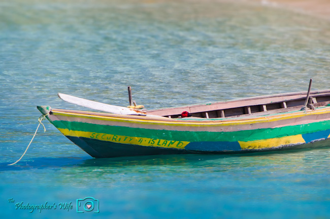 Royal Caribbean Freedom of the Seas Cruise-302